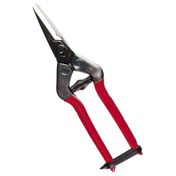 [ポイント最大15倍] 近正 E-6C 農作業鋏 はさみ ハサミ 園芸はさみ ガーデンハサミ 摘粒はさみ 摘果ハ..