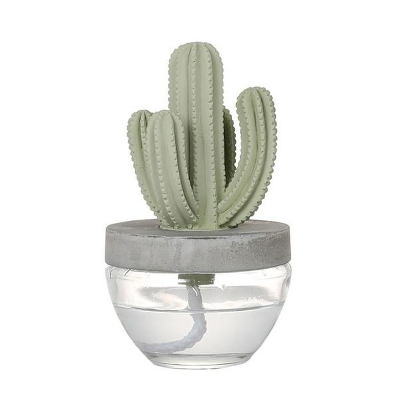 楽天市場】cactus e オブジェ ダルトンの通販