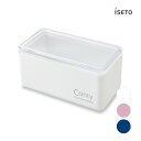 iseto Conty I-597抗菌 保存容器 気密性が高い パッキン付き ランドリー トイレタリー ウェットティッシュ ペットのおやつ入れ お菓子入れ キッチン収納 雑貨 シンプルデザイン オシャレ