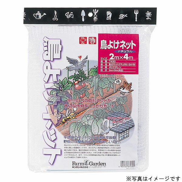 【6月中エントリーでP10倍】キンボシ 金星 #7431 鳥よけネット(ナチュラル) 2×6m 防鳥ネット