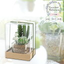 LV} TLgtE KH-60985 LA[eBtBVO[ SUCCULENT REFRERIUM ARTIFICIAL GREEN tFCNO[