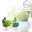 LV} TLgtE LA[eBtBVO[ SUCCULENT REFRERIUM ARTIFICIAL GREEN tFCNO[