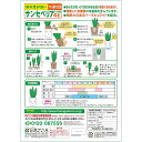 plantz:10187581のサンプル画像2