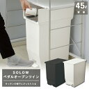 新居 ゴミ箱 高さ48cm 45L シンプル SOLOW ソロウ ペダルオープンツイン ダストボックス タカラ オフェリア クリナップ ステディア STEDIA リクシル アレスタ ニトリ リガーレ シンデレラフィット カップボード ワークトップ下 リス