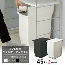 新居 ゴミ箱 高さ48cm 45L 2個セット SOLOW ソロウ ペダルオープンツイン ダストボックス タカラ オフェリア クリナップ ステディア STEDIA リクシル アレスタ ニトリ リガーレ シンデレラフィット カップボード ワークトップ下 リス