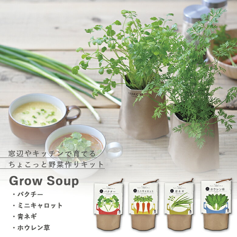 【6月中エントリーでP10倍】家庭菜園 GD-795 育てるスープ 4種類から選べます パクチー・ミニキャロット・青ネギ・ホウレン草 聖新陶芸