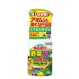 フマキラー カダンセーフ 250ml 殺虫殺菌剤