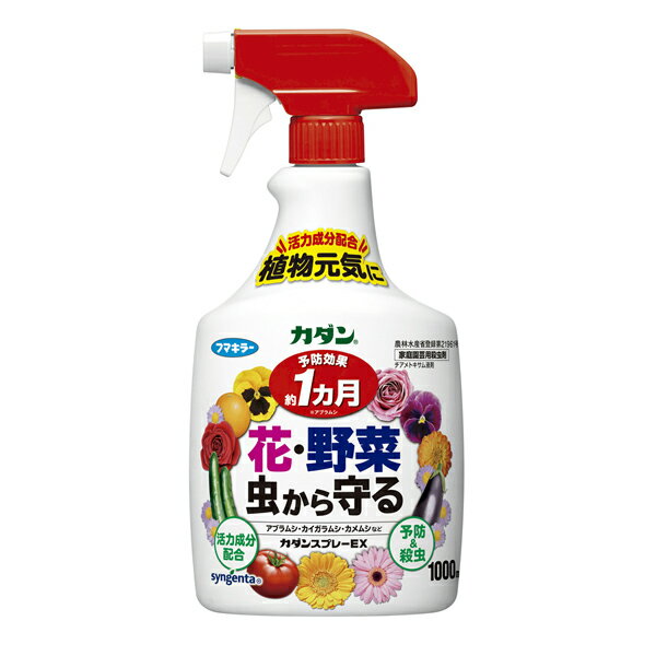 フマキラー カダンスプレーEX 1000ml 殺虫剤