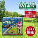 農薬 シバキーププラスV 4kg 雑草予防 肥料入り 芝生 日本芝 高麗芝 メヒシバ 生育 クローバー 除草 雑草 レインボー 庭 園芸 手入れ 雑草予防 肥料入り 芝生 日本芝 高麗芝 メヒシバ 生育 クローバー 除草 雑草 レインボー 庭 園芸