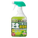 住友化学園芸 HCCザイトロンアミンスプレー液剤 900ml 除草剤