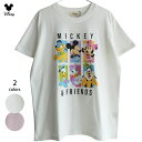 送料無料 Tシャツ ミッキー ミニー プルート ドナルド デイジーグーフィー disney レディース メンズ tdl レトロ 肌色 80年代 ゆったり ぽっちゃり かわいい ペアルック パネル柄 やわらか くすみカラー ミッキーマウス ミニーマウス ドナルドダック ピンク 白