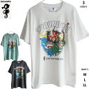 送料無料 ヤッターマン メンズ Tシャツ 半袖 タイムボカンシリーズ ドロンジョ ボヤッキー トンズラー ドクロベエ ドロンボー 悪者 悪役 ヒール レディース ビッグT 昭和レトロアニメ 大暴れ 父の日 ウケる 40代 50代 80年代 レトロ エモい おもしろ 春夏 白 緑 グレー