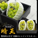 ★岡山県産 「晴王」 シャインマスカット 房売り ★400g〜900g 1房 2房 贈答用 ギフトボックス 熨斗対応 種なし ぶどう 葡萄 旬の果物 大粒 高糖...