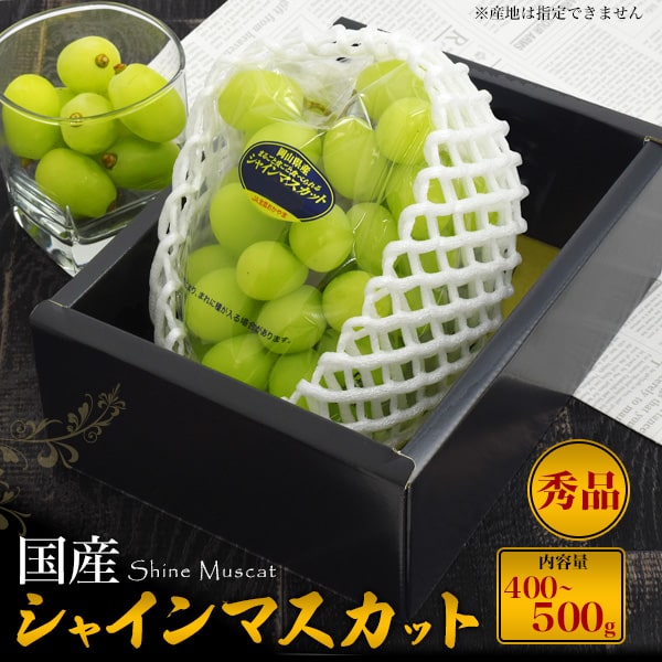 【国産シャインマスカット 400～500g】岡山県・長野県・山梨県など シャインマスカット お取り寄せスイーツ 大粒 高糖度 フルーツ ギフト 食品 敬老 御祝 内祝 シャインマスカット 果物セット ギフト 手土産 ■皮ごとok！【送料無料】のサムネイル