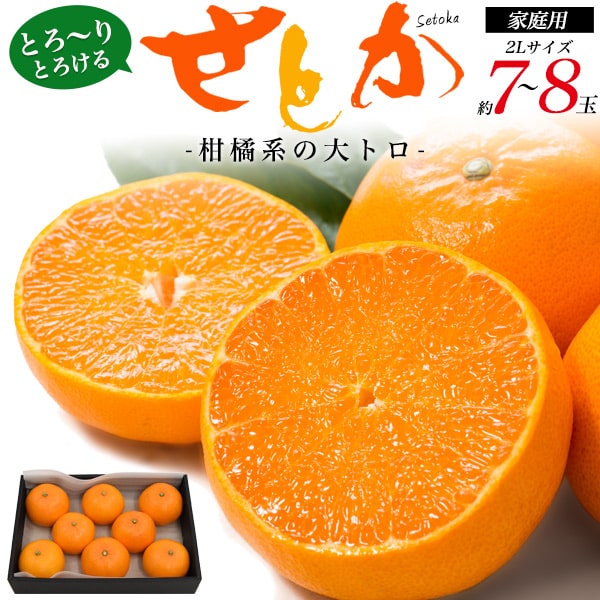 ご家庭用【せとか 7-8玉 家庭用 2Lサイズ】(約1.8kg～2kg) ■平均糖度は12～13度 酸味 濃厚 柑橘 ご当地 お取り寄せフルーツ ギフト お礼 贈答 果物セット 内祝 果物 ギフトセット フルーツ ギフト みかん 訳あり 不揃い せとか 訳あり 送料無料 ■常温配送 短冊熨斗のサムネイル