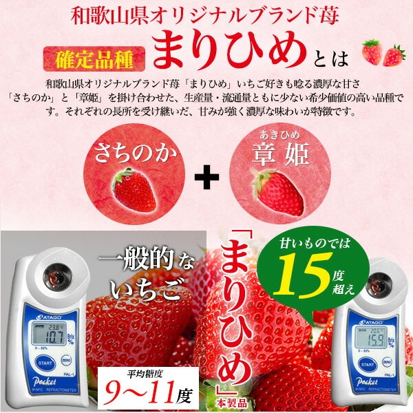 旬の果物【秀品以上 ブランド 完熟いちご 食べ比べセット 1パック 12粒入り】まりひめ6粒 おまかせ品種6粒 (紀の香 紅ほっぺ など) 和歌山県産 オリジナルブランド 苺 高糖度 デザート フルーツ 甘い イチゴ ご褒美 ご当地 お取り寄せ グルメ ギフト 常温 【送料無料】