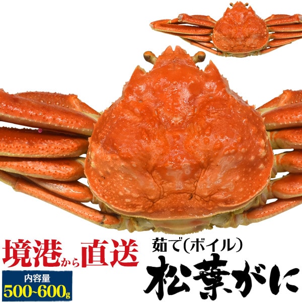 【国産 茹で松葉ガニ 500g〜600g】産地直送 カニ 茹で マツバガニ カニ 蟹 まつばかに 内祝い 贈り物 ..