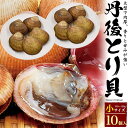 【活き 丹後 とり貝 京都府産 10個/20個セット(サイズ100～129g)】トリガイ 鳥ガイ とりがい 鳥貝 殻付き 刺身 茹で …