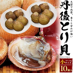 【活き 丹後 とり貝 京都府産 10個/20個セット(サイズ100～129g)】トリガイ 鳥ガイ とりがい 鳥貝 殻付き 刺身 茹で 蒸し 焼き あぶり 炙り 寿司 鮨 贈答 食 土産 味覚 誕生日 母の日 父の日 内祝い 飲食店 店舗 和食 割烹 料亭 贅沢 ご褒美 冷蔵 直3【送料無料】