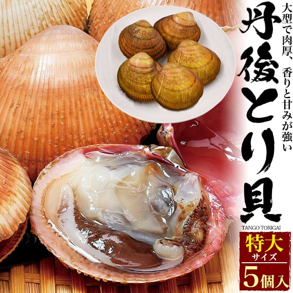 【活き 丹後 とり貝 京都府産 5個/10個セット 特大サイズ(170～189g)】トリガイ 鳥ガイ とりがい 鳥貝 鮨 寿司 刺身 茹で 蒸し 焼き あぶり 炙り 魚介類 贈答 食べ物 土産 味覚 誕生日 母 父の日 内祝い 飲食 和食 割烹 料亭 ごはん 贅沢 ご褒美 大人 冷蔵【送料無料】