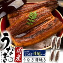 【国産 うなぎ蒲焼き 約140〜150g×4尾セット】大サイズ 父の日ギフト 国産 うなぎ 4尾 ウナギ 鰻 かば焼き タレ 山椒 ひつまぶし 鰻巻 うな丼 茶...