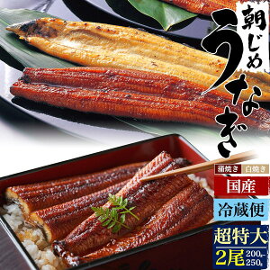 ★朝じめ うなぎ 国産 2尾セット( 200〜250g ) 愛知 冷蔵 蒲焼き 白焼き 父の日ギフト 国産 うなぎ ウナギ 鰻 かば焼き タレ 山椒 ひつまぶし 鰻巻 うな丼 内祝 贈り物 店舗 和食 ギフト 祝 結婚 誕生日 褒美 大人 祖父母 還暦 喜寿 夏バテ 父の日2023 【送料無料】