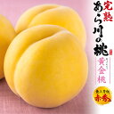 ■ご予約【和歌山県産「あら川の桃」黄金桃】桃 和歌山 あら川 お取り寄せスイーツ 桃 和歌山 お中元 暑中 お彼岸 スイーツ モモ もも 新鮮 御礼 祝 感謝 引っ越し 内祝い ギフト 贈答 夏 初夏 果物 果肉 フルーツ 祖父母 桃 濃い黄色 お中元 ギフト 熨斗【送料無料】