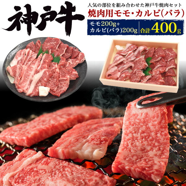 神戸牛【焼肉用モモ・カルビ】合計400g(約2～3人用) 焼肉セット 国産 家族で楽しく旨い steak 和牛 焼き 国産 焼き 高級肉 肉 神戸ビーフ 赤身 油身 お肉 塩コショウ ご飯お供 祝 ギフト 贈答品 スタミナ バラ 鉄板焼き おうち時間 焼き肉セット 冷凍 直送w【送料無料】