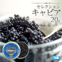 【キャビア 20g ハイブリッド】珍味 ギフト ご褒美 サラダ 魚料理 カルパッチョ イタリアン 和洋中 西洋 食べ物 お土産 クリスマス パーティー 変り種 ...