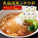 5枚セット【 気仙沼 腹びれ大サイズ（約18～22g）】ラーメン あんかけ ふかひれスープ 日本産 国産 ふかひれ ラーメン 業務用 家庭用 フカヒレ姿煮 ギフト 中華 母 父 祝い 食後 土産 節句 新築 結婚祝い 内祝い 御礼 プチ贅沢 ギフト 常温 値下げ【送料無料】[M便 1/5]