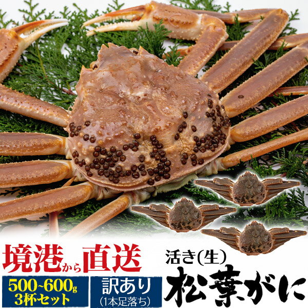 生きたまま出荷【境港 /活き(生)松葉ガニ 500g-600g 3杯】蟹 取り寄せ グルメ マツバガニ 3匹 カニ 蟹..