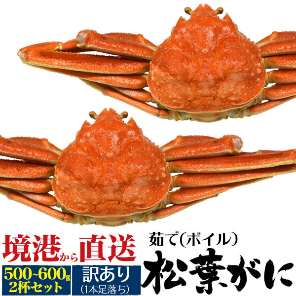 ご家庭用【ボイル 茹で マツバガニ 500g〜600g 2杯】訳あり 松葉蟹 ボイル 松葉ガニ 訳あり 産地直送 茹で蟹カニ 蟹 かに お買い得 食べ物 焼き蟹 かに雑炊 かにすき 家族団欒でお鍋 取り寄せ グルメ 訳あり 足取れ1本 ■【送料無料】 直2(4)