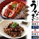 丑の日★鹿児島県産【カットうなぎ蒲焼き 約80g×3パック+うなぎ肝焼き 100g】うなぎの肝 敬老の日 土用の丑の日 鰻 国産 うなぎ 国産うなぎ 鰻 うな丼...