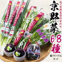 【京野菜 盛りだくさんセット】京都から市場直送!生鮮品 野菜セット 詰め合せ ギフトセット 春夏秋冬 お料理 お野菜 栄養 晩 飯 子供 母 父 家族 暮らし ...