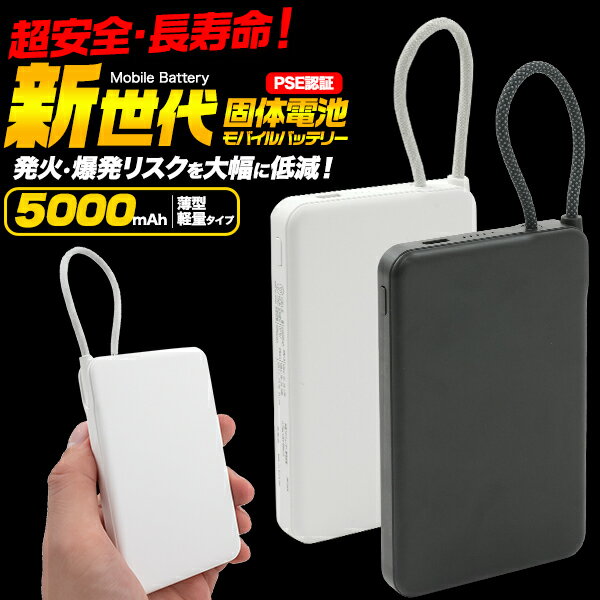 ͢ߡ꡼Źץ饿㤨֡ڥХХåƥ꡼ Ⱦ 5000mAh  ݥޡ ӥХХåƥ꡼ USB Type-C֥η ȯФĥΥꥹ㸺 ѥ PSEǧ  Ĺ̿   ץ륿c  ӥХХåƥ꡼ ľw̵[M 1/2]פβǤʤ4,800ߤˤʤޤ