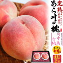 ご予約【あら川の桃 川中島白桃 2玉 和歌山県産 桃 贈答用 赤秀品 4Lサイズ】 最上等級 完熟桃 大玉 もも 桃 高糖度 甘い フルーツ 果物 ピーチ モモ...