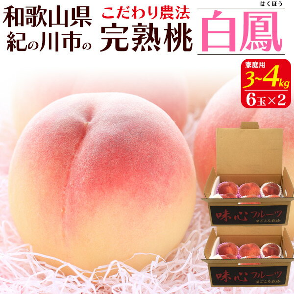ご予約【和歌山県紀の川市 桃 白鳳 約3kg〜4kg 12玉(6玉×2) 家庭用 訳あり 】 ワケアリ 完熟桃 もも 桃 高糖度 甘い フルーツ 果物 桃の王様 ピーチ モモ 和歌山 お取り寄せ グルメ ギフト スイーツ くだもの 夏の味覚 アウトレット■冷蔵 直送3【送料無料】のサムネイル