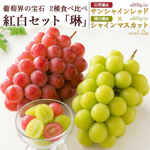 ぶどう 詰め合わせ【種なし葡萄 2種食べ比べ 紅白セット「琳」】岡山県産 「シャインマスカット 晴王」山梨県産 「サンシャインレッド 」 食べ比べ セット 各1房 合計2房 甘い 果汁 高糖度 皮ごとOK 旬の果物 お取り寄せ グルメ ギフト 熨斗対応 贈答用 ご褒美【送料無料】