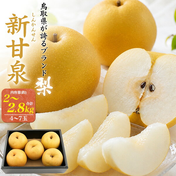 贈答用　鳥取県産ブランド梨　新甘泉　合計(約)2～2.8kg前後　5～7玉 甘み、香り、食感すべてにおいて優れた特徴を持っており、 名前の通り新時代を切り開くべく、早生品種ながらも圧倒的な甘みと 泉のようなジューシーさを兼ね備えるプレミアムな梨です。 二十世紀梨の生産量が日本一の鳥取県のみが栽培を許される新世代の梨です。 一般的な梨の重さが1玉350g前後で糖度が10度前後ですが 新甘泉は500g前後平均と超大玉で糖度が13～14度とかなり高い数値であることも特徴です。 ご自宅用、ギフトや手土産、大切な方への贈り物に最適です。 熨斗対応(短冊熨斗)承ります。 製品仕様 商品名 梨　新甘泉(しんかんせん) 内容量 合計 約2～2.8kg前後　5～7玉 産地 鳥取県 注意 ※生鮮食品のため、お早めにお召し上がりください。 ※ボックスデザイン・梱包状態等は変更する場合があります。A5ランク　ご用意★ぜひこの機会にご賞味ください★