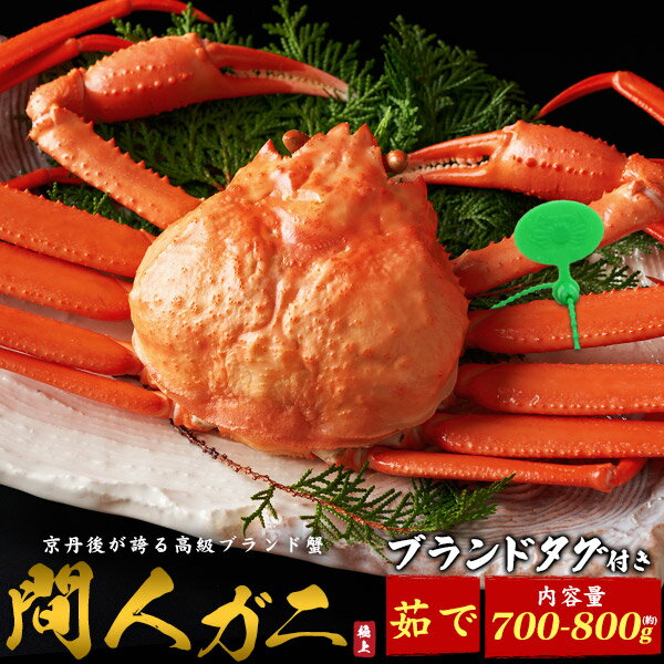 【ブランドタグ付き ボイル済み 間人ガニ 姿 1杯〜2杯 （約700g〜800g/1杯あたり）】京丹 ...