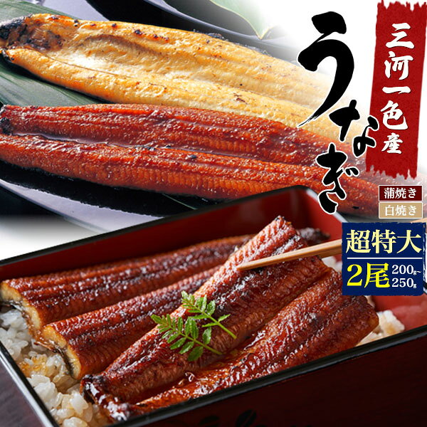 国産 鰻【うなぎ 蒲焼き 白焼き 選べる2尾セット 超特大サイズ( 200〜250g ) 】愛知県 三河一色産 ウナギ タレ 山椒 土用の丑の日 お取り寄せグルメ ギフト 熨斗 贈答 アレンジ 食材 うな丼 うな重 ひつまぶし お魚 土用丑 夏バテ おつまみ ご褒美 冷凍【送料無料】
