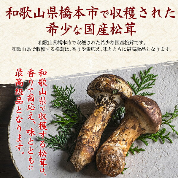 【高野松茸 種類おまかせ　約200g・約300g・天然国産 】ツボミ 中ツボミ ヒラキな...