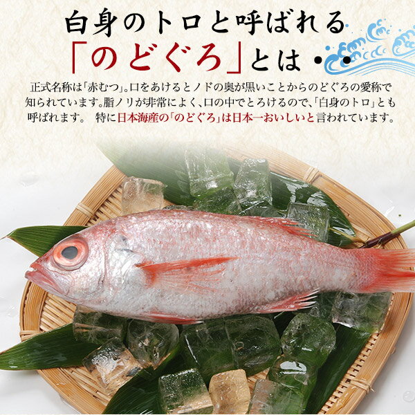 はごろも シーチキンL 90g×12入