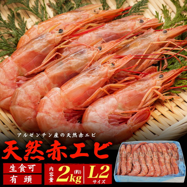 【天然赤エビ 約2kg L2サイズ 有頭 生
