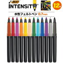 【BIC インテンシティ 12色】水性フェルトペン 0.7mm bic カラフル プレゼント塗り絵 ぬりえ フェルトペン 小学校 カラーペン セット 子供 女性 かわいい ギフト プレゼント お洒落 文房具 色鮮やか水性染料 BICインテンシティ 漫画 絵画 直送w【送料無料】[M便 1/1]