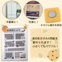 ★クッキーマグネットセット(大小2個)　食品サンプル マグネット 便利グッズ 工作 DIY オリジナル アクセサリーパーツ アクセ パーツ 手作り 磁石強力 黒板 ボード 作業 製作 薄型 まるい冷蔵庫 メモ ロッカー 目印 作業 [M便 1/10]