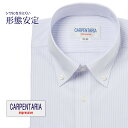 ワイシャツ 長袖 形態安定 メンズ Yシャツ カッターシャツ ビジネス 標準 CARPENTARIA ボタンダウン ホワイト×ライトパープルストライプ 