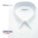 ワイシャツ 長袖 形態安定 メンズ Yシャツ カッターシャツ ビジネス 標準 CARPENTARIA レギュラーカラー ホワイトドビー チェック 