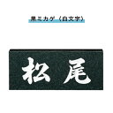 表札 戸建 表札 天然石表札 長方形表札 おしゃれ ネームプレート 玄関 アパート スタンダード 福彫製品 【 スタンダード(黒ミカゲ(白文字)(SNB)】
