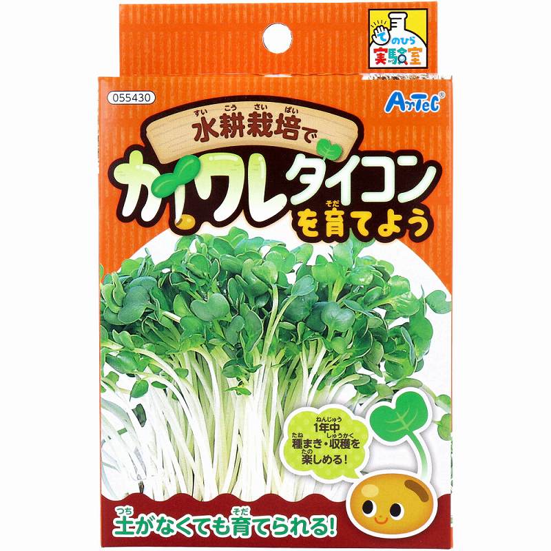 てのひら実験室 水耕栽培でカイワレダイコンを育てよう 1セット 工作 キット 小学校 手作りキット 小学生 男の子 女の子 子供 子供会 夏休み 手作り